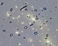 Astronomers teach a machine how to 'see'