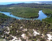 In Madagascar, fishermen plant mangroves for the future