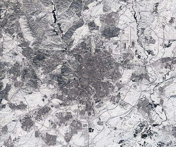 For Madrid's trees, record snowfall leaves deep wounds