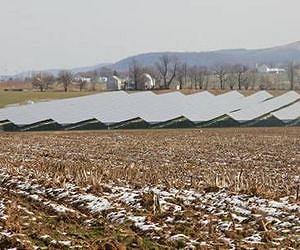 MAGE SOLAR and Paradise Energy provide PV power plant for concrete manufacturer