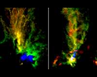 Two cosmic peacocks show violent history of Magellanic Clouds