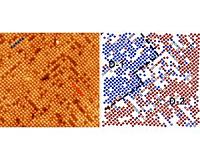 New characteristics of complex oxide surfaces revealed