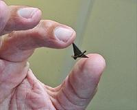 Ferropaper Is New Technology For Small Motors, Robots