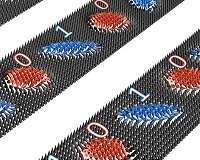 Magnetic whirls in future data storage devices