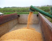 China scraps price control on foods