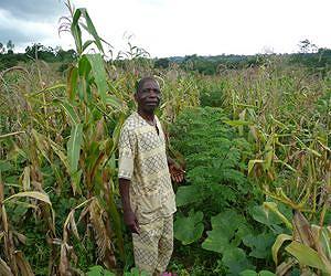 Scientists reveal where growing conditions today mirror future climates