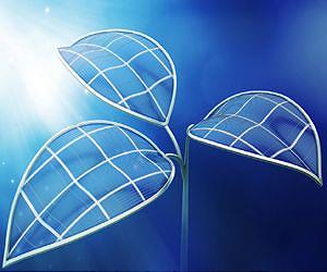 Cobalt catalysts allow researchers to duplicate the complicated steps of photosynthesis