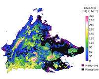 Flying laboratory reveals crucial tropical forest conservation targets in Borneo