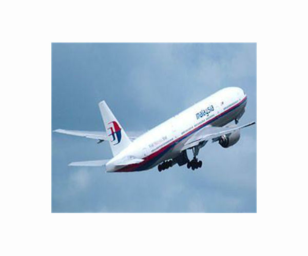Families of Malaysia Airlines plane crash victims call for new search