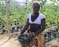 Feeding the world without wrecking the planet is possible