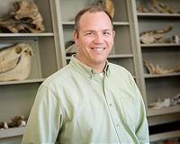Current diversity pattern of North American mammals a 'recent' trend, study finds
