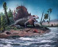 How and when spines changed in mammalian evolution