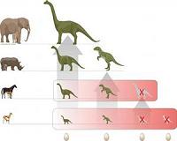 First egg ever found in Antarctica may come from extinct sea lizard