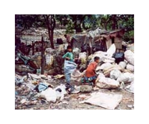 Population surge outstrips efforts to eradicate slums