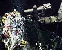 Understanding deep-sea images with artificial intelligence
