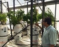 NMSU researchers address water sustainability for viable farming