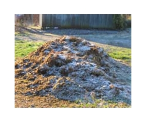 Swedish region powered by organic waste