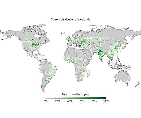 Relocating farmland could turn back clock twenty years on carbon emissions, say scientists