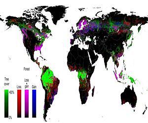 UMD, Google and gov. create first detailed map of global forest change