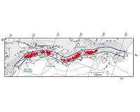 Above and beyond megathrusts: Draining pore-fluids dampens tremors