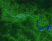 Body of missing environmentalist found in Honduras