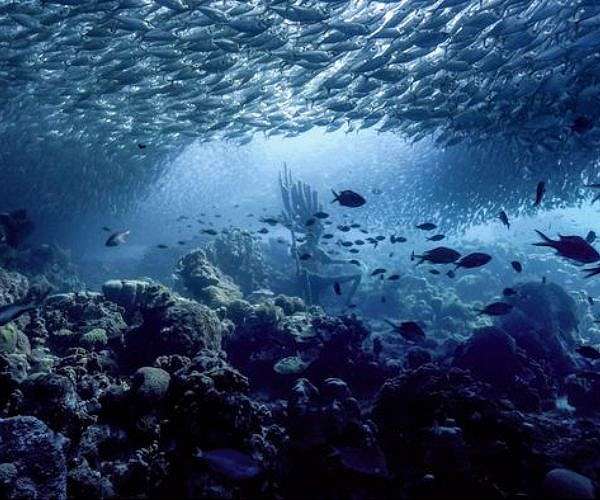 Researchers pump brakes on 'blue acceleration' harming oceans