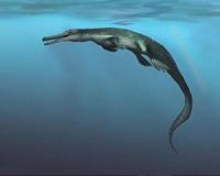 Evolution of marine crocodilians constrained by ocean temperatures