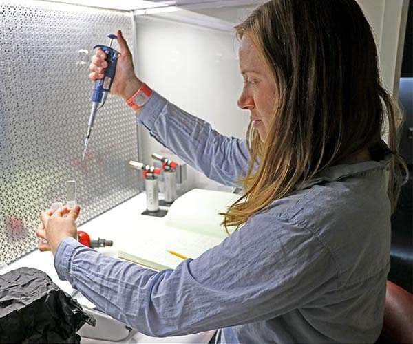 'Photosynthetic' algae can survive the dark