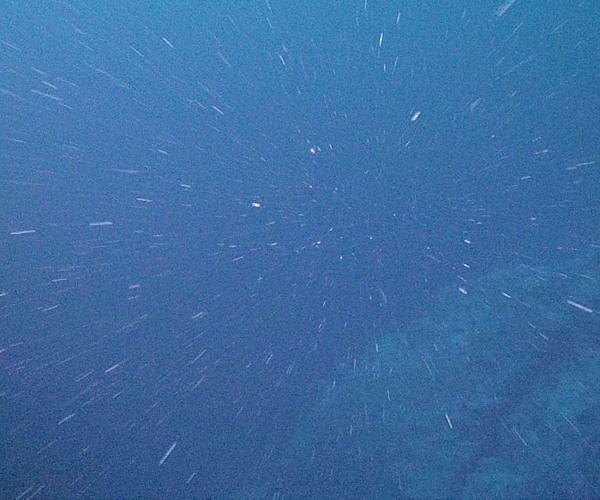 Robot fleet dives for climate answers in 'marine snow'
