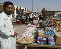 Food shortages could be most critical world issue by mid-century