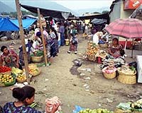 Special Research Methods Find Ancient Maya Marketplace