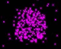 Revealing Chandra image shows Mars glows in X-rays