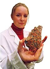 Search For Martian Life Will Need Good Vibrations