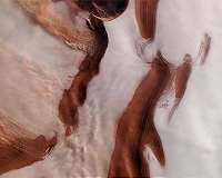 Impressive cloud formations over Mars' northern polar ice cap