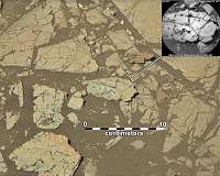 3D photogrammetric evidence for trace fossils at Vera Rubin Ridge, Gale Crater, Mars