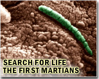 Earthworms can reproduce in Mars-like soil