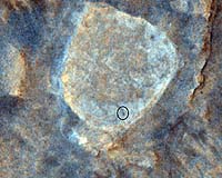 Spirit Update: Examining Target 'Olive Leaf'