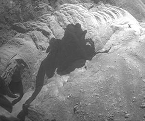 Spirit Bogged In Sand: Now A Stationary Research Platform