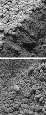 The Spirit Of Soil Science Gets Close Up To The Serpent