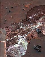 Salty Expression (False Color)
