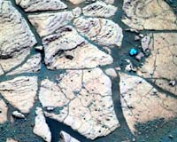 Coping With Contamination