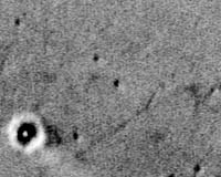 Opportunity Marks One Year On Mars