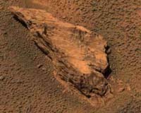 Lion's Share Of Mars