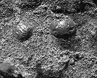 Opportunity Rover Finds Strong Evidence Meridiani Planum Was Wet