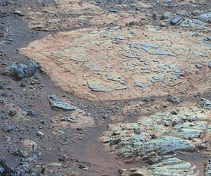 Opportunity Investigating Light-toned Veins in Rock Outcrop