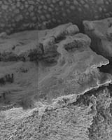 Mars Rover Update Preparing For Another Winter
