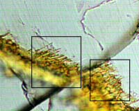 Mars Meteorite Similar To Bacteria-Etched Earth Rocks