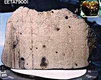 A Salty, Martian Meteorite Offers Clues to Habitability