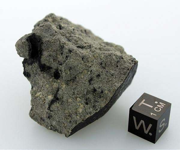 Martian meteorite contains large diversity of organic compounds