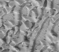 Sand Ripples Taller On Mars